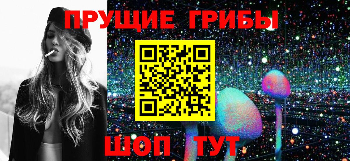 Новокубанск  Псилоцибиновые грибы мицелий  Псилоцибиновые грибы Cubensis  Вход с VPN 