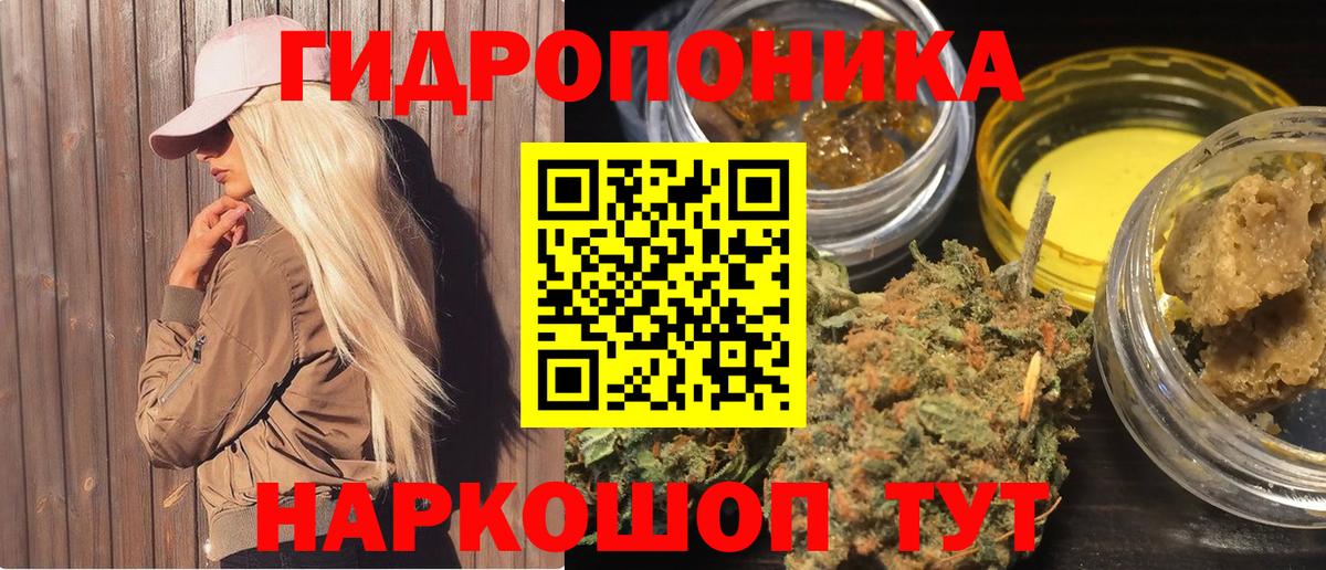 Бошки марихуана конопля Новокубанск